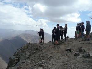 Toubkal feathers (Copy)